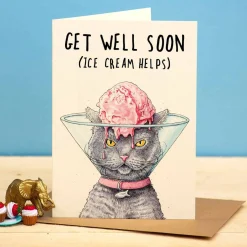 Bewilderbeest Get Well Soon - Ice Cream Helps Greetings Card