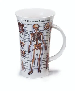 Dunoon Glencoe The Human Body Mug
