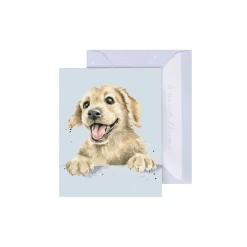 Wrendale Designs 'Golden Boy' Labrador Gift Enclosure Card