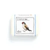 The Chocolate Detective 12 Gold Finch Eggs by