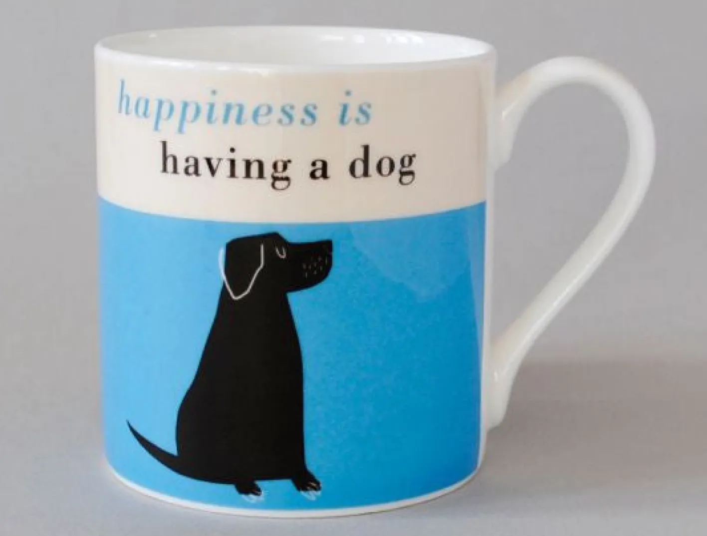 Repeat Repeat Happiness Black Lab Turquoise Mug
