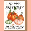 Studio Frewb. Happy Birthday Pumpkin Greetings Card