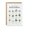Everlong Print Co. Have a Plantastic Birthday Card