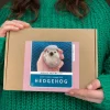 Bergin & Bath Hedgehog Needle Felting Kit
