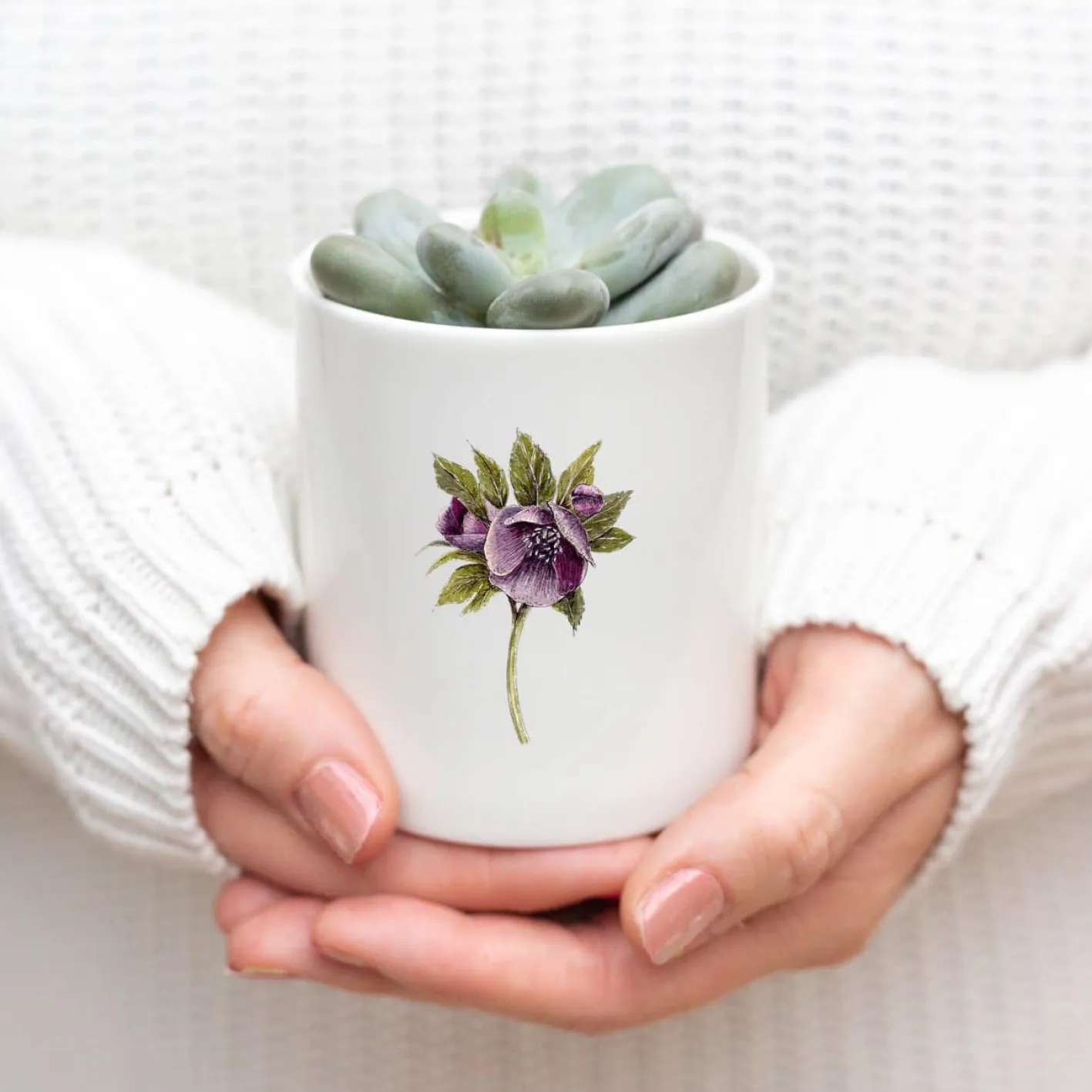 Toasted Crumpet Hellebore Bone China Pot