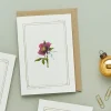 Catherine Lewis Hellebore - 'Botanical Archive: Festive Edition' - card