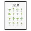 Everlong Print Co. Herbs Guide Print - Framed
