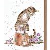 Wrendale Designs 'Hide and Squeak' Cat and Mouse Greetings Card