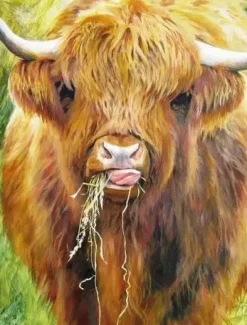 All Jigsaw Puzzles Highland Cow by Gill Erskine-Hill 1000 piece Jigsaw