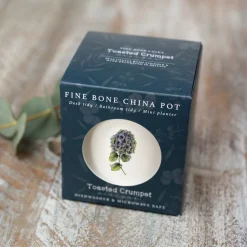 Toasted Crumpet Hydrangea Bone China Pot