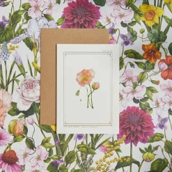 Catherine Lewis Icelandic Poppy - 'Botanical Archive: Everyday Edition' - card