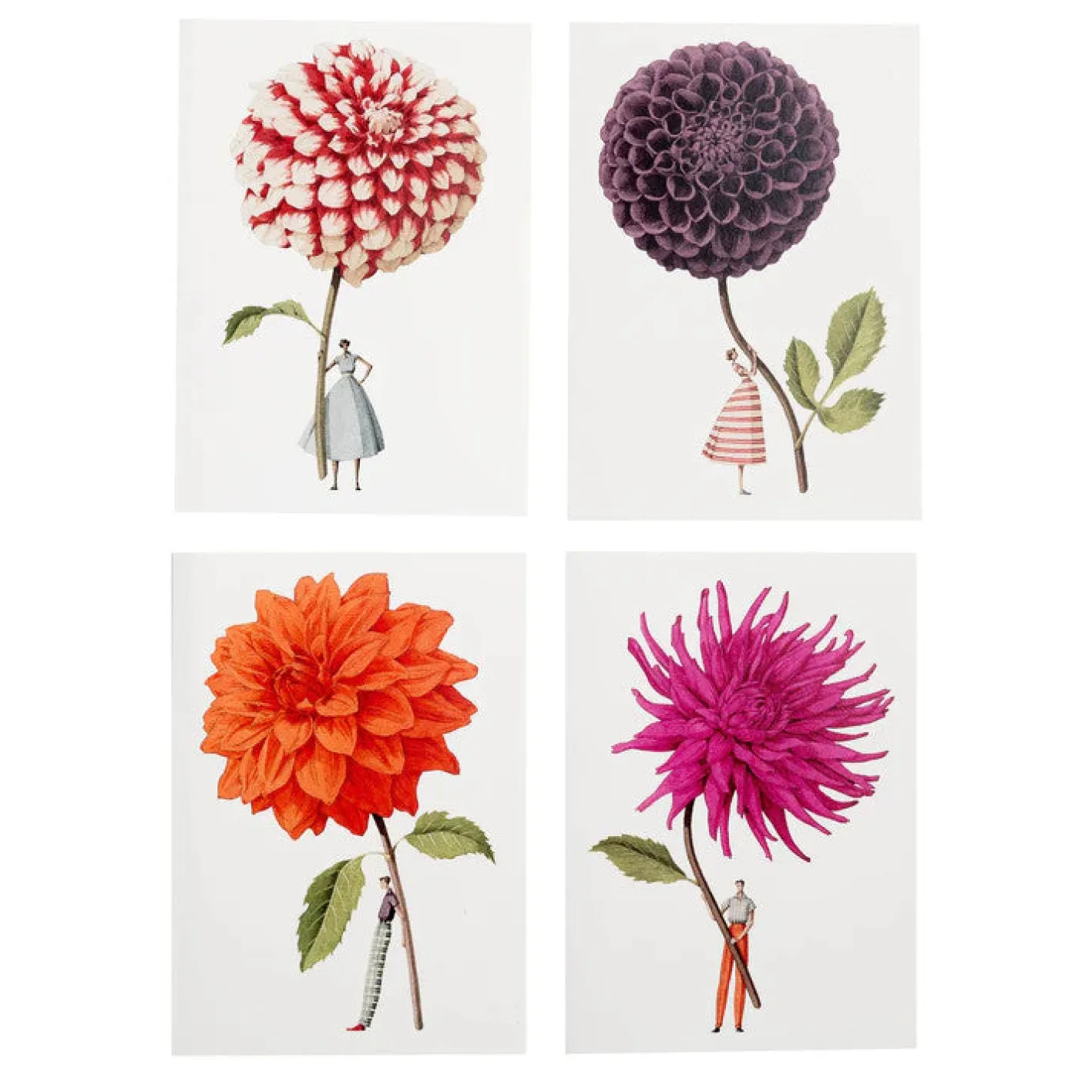 Laura Stoddart In Bloom Dahlia Notecards Set