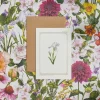 Catherine Lewis Iris - 'Botanical Archive: Everyday Edition' - card