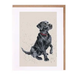 Wrendale Designs 'Jack' Black Labrador Greetings Card