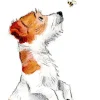 Paper Shed Design Jack Russell and Bee Greetings Card