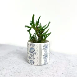 Alex Allday Jasmine Ceramic Tea Light Holder