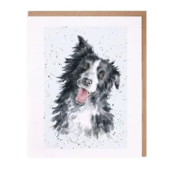 Wrendale Designs 'Jess' Border Collie Greetings Card