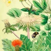Madame Treacle Jini's Garden Glitter Greetings Card