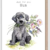 Paper Shed Design Just For You Mum Greetings Card