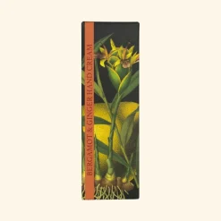 English Soap Company Kew Gardens Bergmot & Ginger Hand Cream