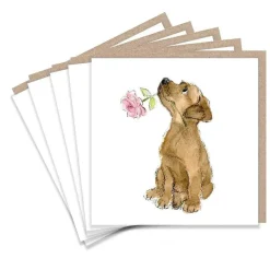 Paper Shed Design Labrador and Rose Set of 5  Notecards