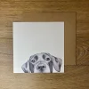 Katherine Sheard Designs Lenny Labrador Greetings Card