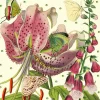 Madame Treacle Lily Glitter Birthday Card
