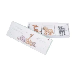 Wrendale Designs 'Little Savannah' African Animals Baby Socks Set