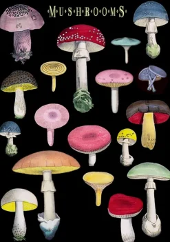 Madame Treacle Many Mushrooms Greetings Card
