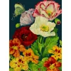 Madame Treacle Midnight Poppies Card