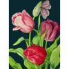 Madame Treacle Midnight Tulips Card