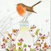 Emma Ball Milk Bottle Robin pack of 6 Christmas Cards