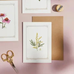 Catherine Lewis Mimosa - 'Botanical Archive: Everyday Edition' - card