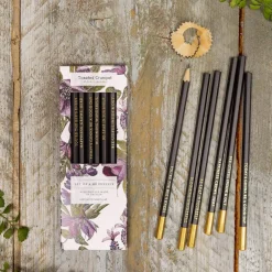Toasted Crumpet Mulberry Set of 6 Pencils