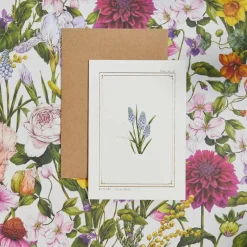 Catherine Lewis Muscari - 'Botanical Archive: Everyday Edition' - card