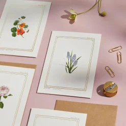 Catherine Lewis Muscari - 'Botanical Archive: Everyday Edition' - card
