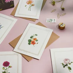Catherine Lewis Nasturtium - 'Botanical Archive: Everyday Edition' - card