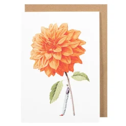 Laura Stoddart Orange Dahlia Blank Greetings Card