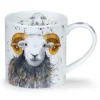 Dunoon Orkney Shaggy Sheep Mugs