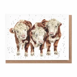 Wrendale Designs 'Paddy, Percy and Pedro' Cows Greetings Card