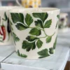 Emma Bridgewater Parsley Plant Pot