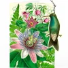 Madame Treacle Passion Flower Hanging Fandangle Card