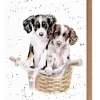 Wrendale Designs 'Paws and Pedals' Dog Greetings Card