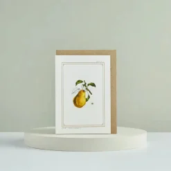 Catherine Lewis Pear - 'Botanical Archive: Festive Edition' - card