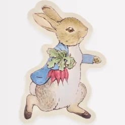 Meri Meri Peter Rabbit Reusable Plate