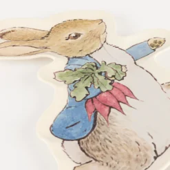 Meri Meri Peter Rabbit Reusable Plate