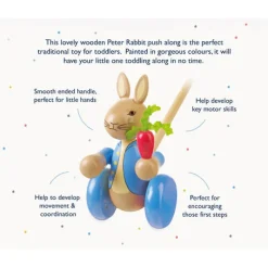 Orange Tree Toys Peter Rabbit™ Wooden Push Along Toy