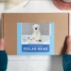 Bergin & Bath Polar Bear Needle Felting Kit