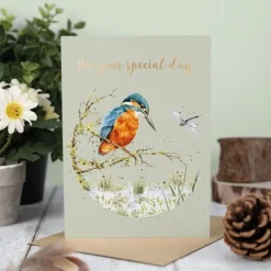 Wrendale Designs 'Pond Dipping' Kingfisher Greetings Card