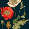 Madame Treacle Poppy Greeting Card